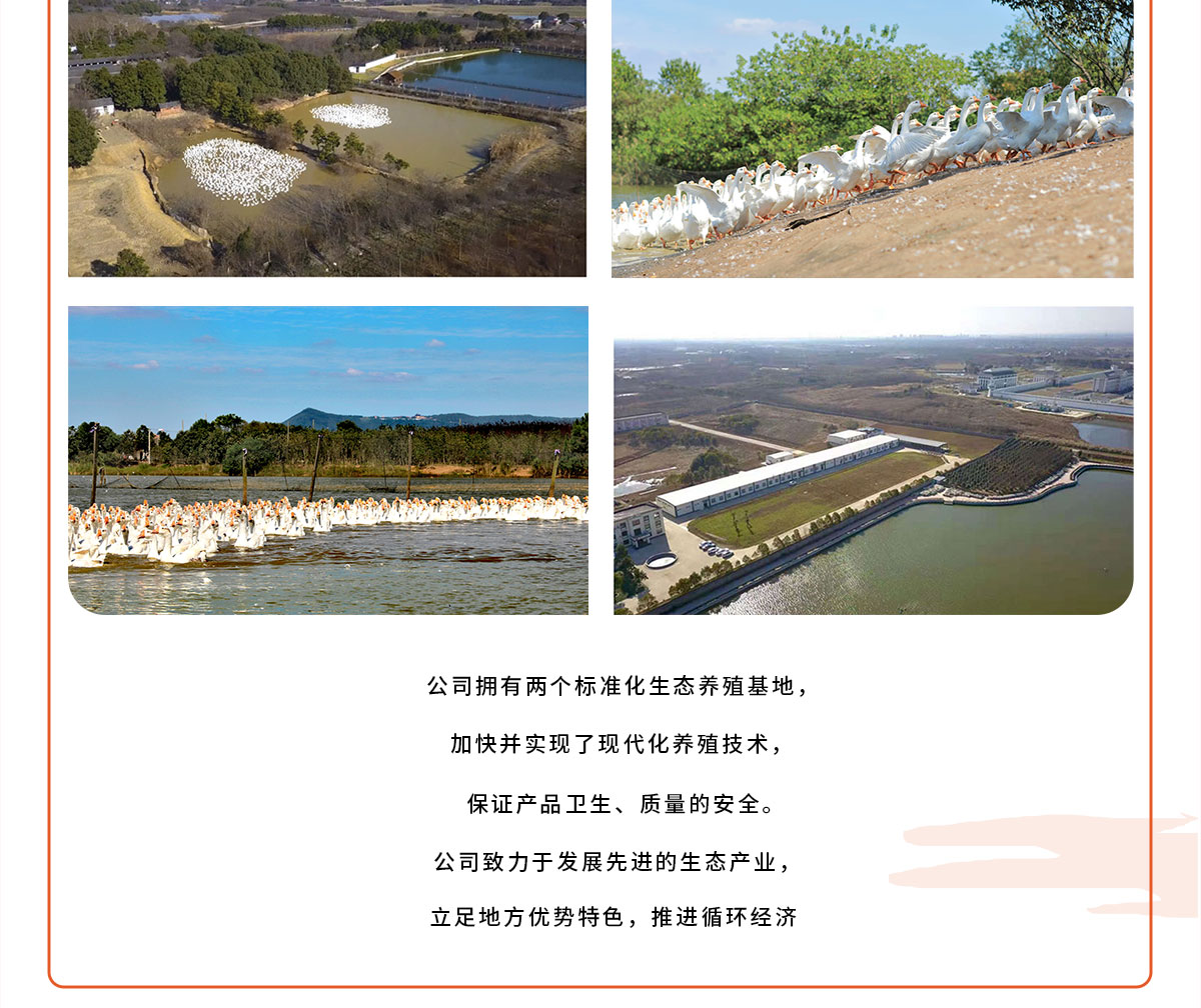 详情2网站_05.jpg