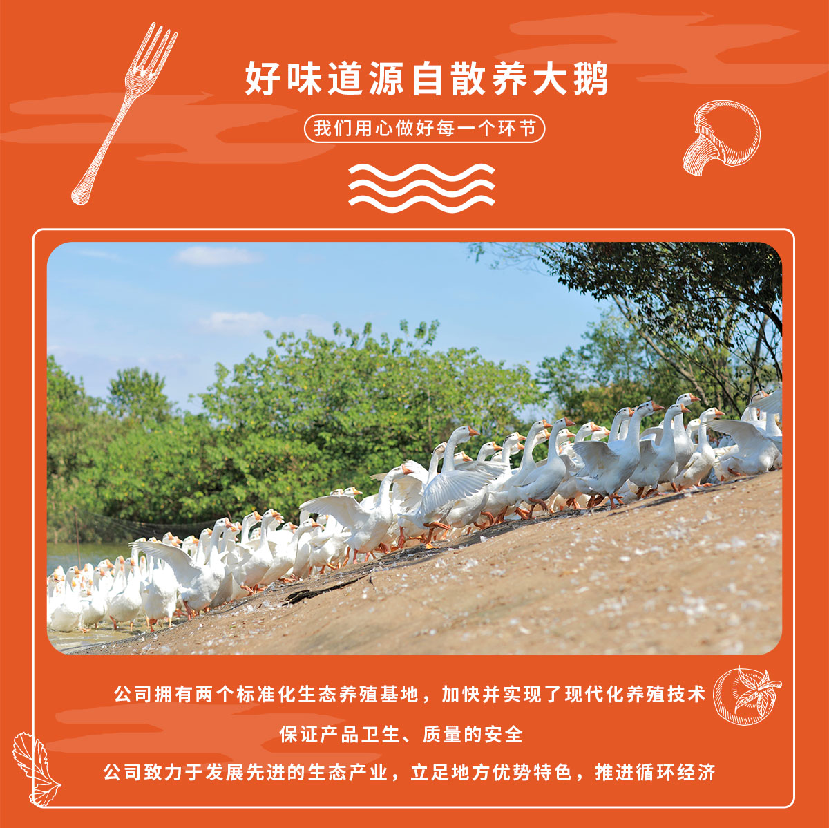 详情2小包装_02.jpg