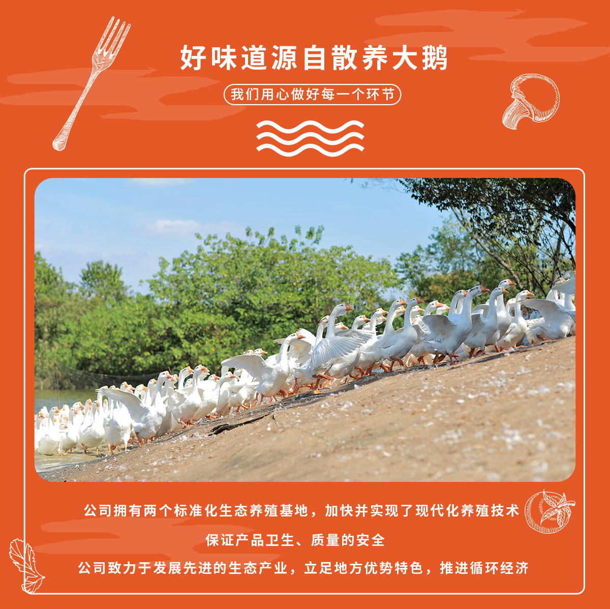 详情2生风鹅_02.jpg